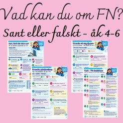 FN-detektiven – Sant, falskt eller nästan sant? | Åk 4–6