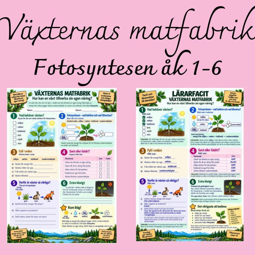 Växternas matfabrik – arbetsblad om fotosyntesen