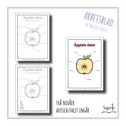 Arbetsblad Äpplets delar