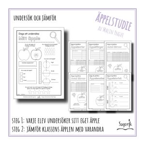 Arbetshäfte Äppelstudie undersök och jämför