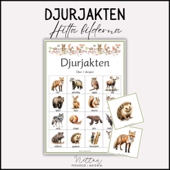 Djurjakten - djur i skogen