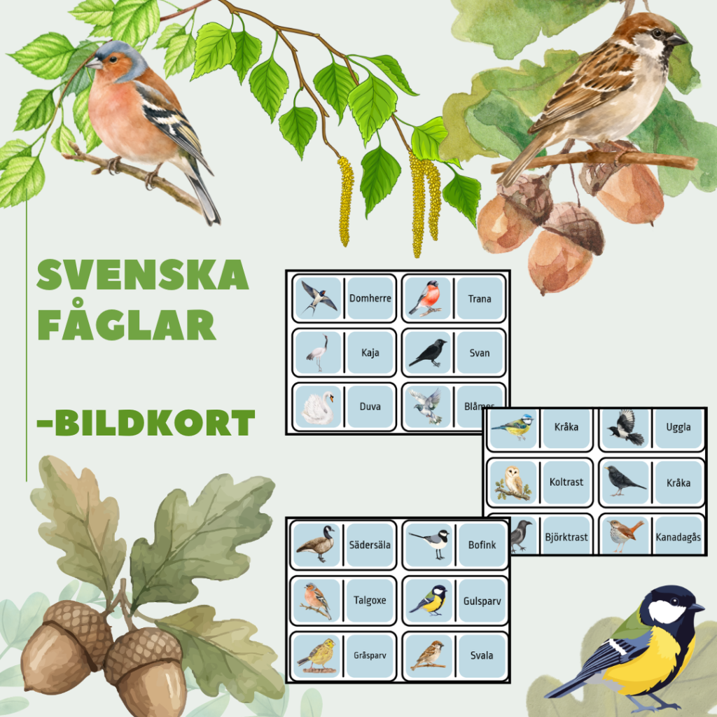 Svenska fågler: Bildkort