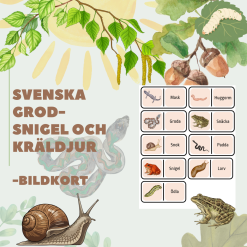 Bildkort: Svenska kräl-, blöt- och groddjur