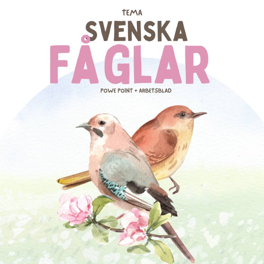 Tema Svenska fåglar