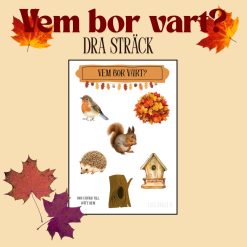 Vart bor höstens djur?