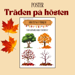 Trädens på hösten