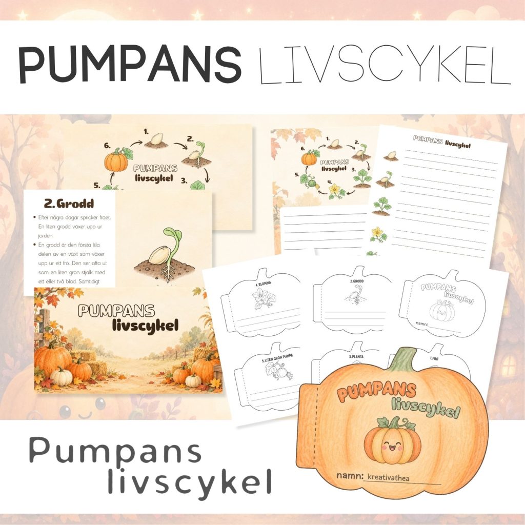 Halloween pumpans livscykel🎃