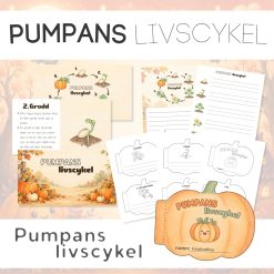 Halloween pumpans livscykel🎃
