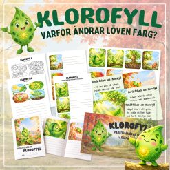 Klorofyll🍃
