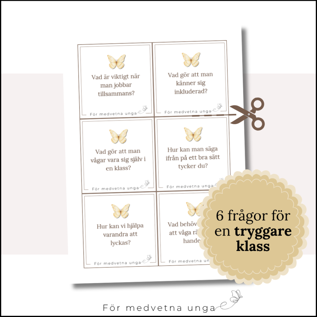 6 frågor för en tryggare klass