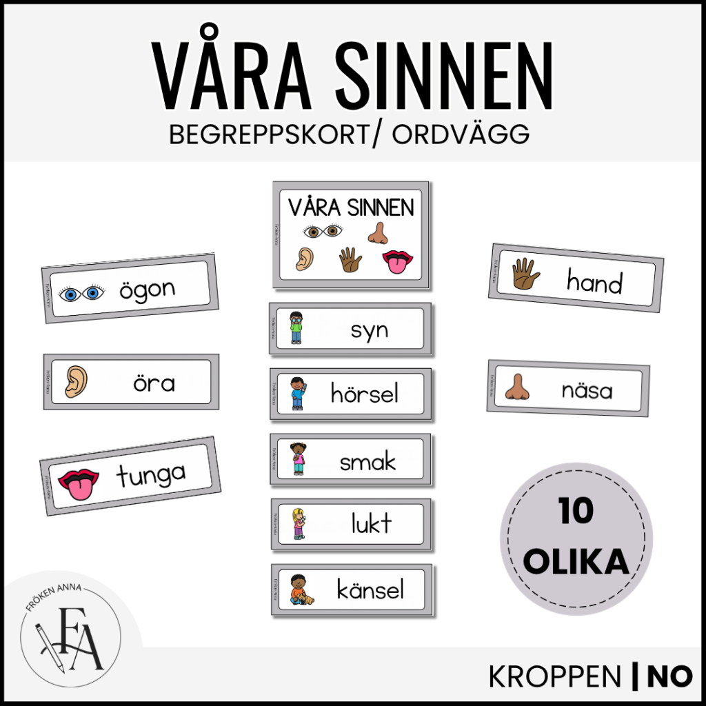 Våra sinnen: Bild- och begreppskort | Ordvägg