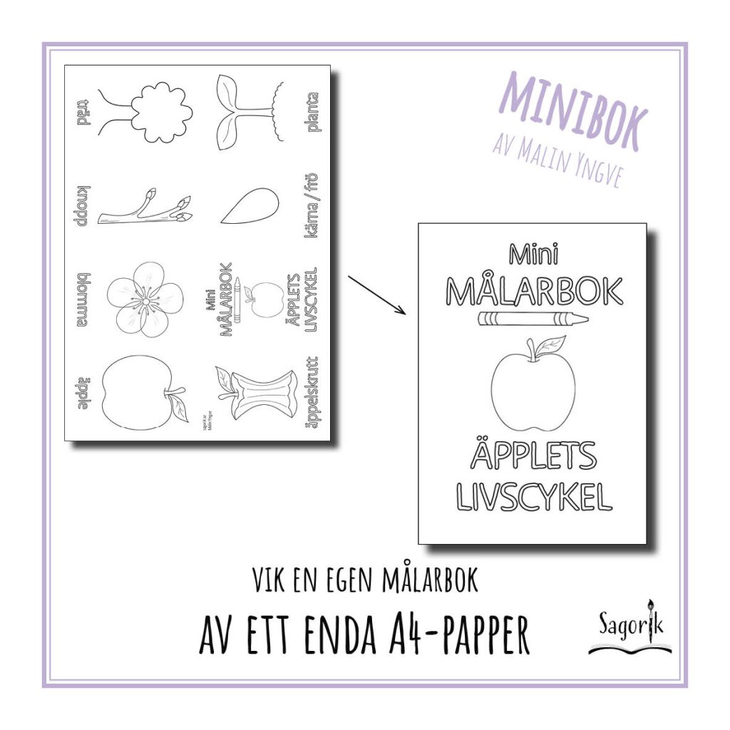 Minimålarbok Äpplets livscykel