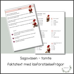 Sagoväsen - tomte