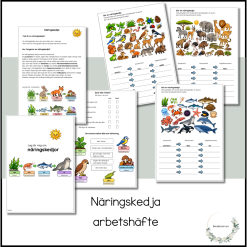 Näringskedjor - arbetshäfte