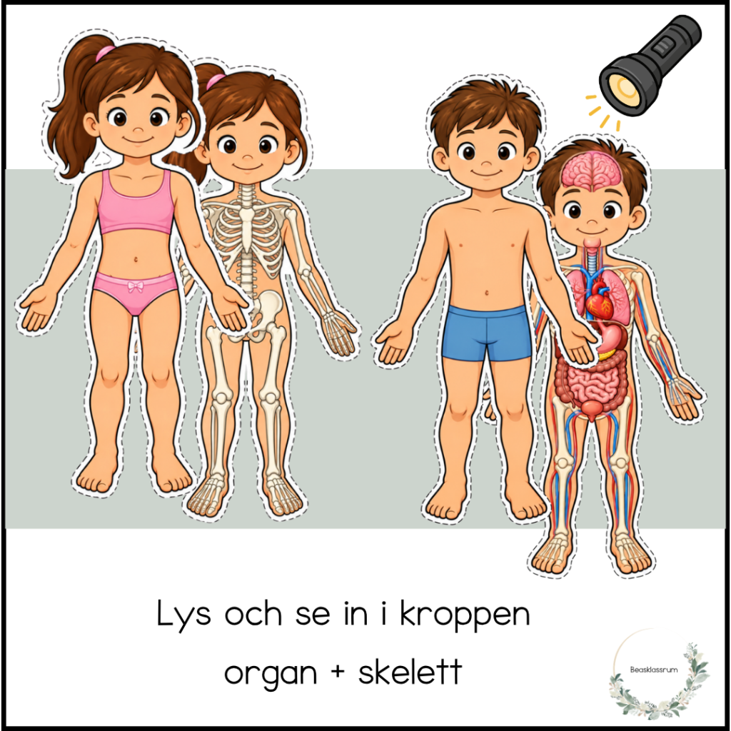 Lys och se in i kroppen