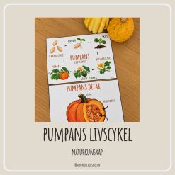 Pumpans livscykel