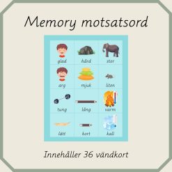 Memory Motsatsord