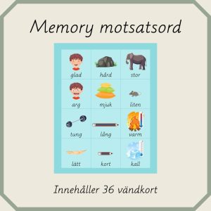 Memory Motsatsord