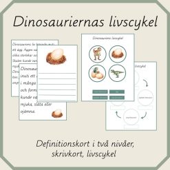 Dinosauriernas livscykel
