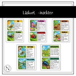 Läskort - insekter