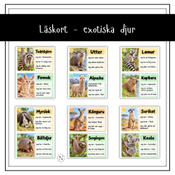 Läskort - exotiska djur