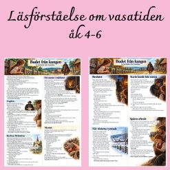 Budet från kungen – Läsförståelse om Vasatiden och Dackefejden