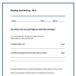Kartläggning Engelska åk 3 – Reading & Writing