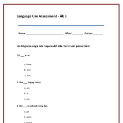 Kartläggning Engelska åk 3 – Language Use (Uppdaterad HT26)