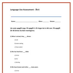 Kartläggning Engelska åk 6 – Language Use (Uppdaterad HT26)