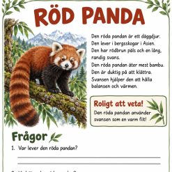Veckans roliga djur – läsförståelse 🦓 🦒