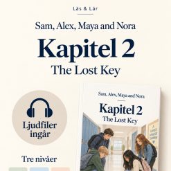 Engelsk läsförståelse med ljudfiler - The Lost Key (3 nivåer, kapitel 2)