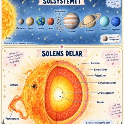 Solsystemet och solens delar!