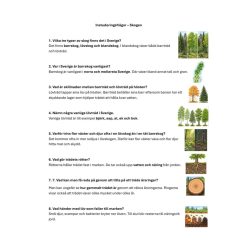 Skogen åk 4 – instuderingsfrågor med bildstöd, prov & facit | anpassat till Koll på NO 4