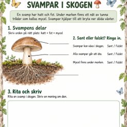 🍄svamp arbetsblad!