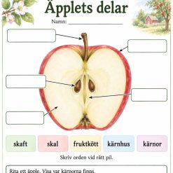Äpplets delar!