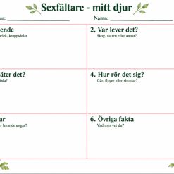 Sexfältare och tankekarta djur!