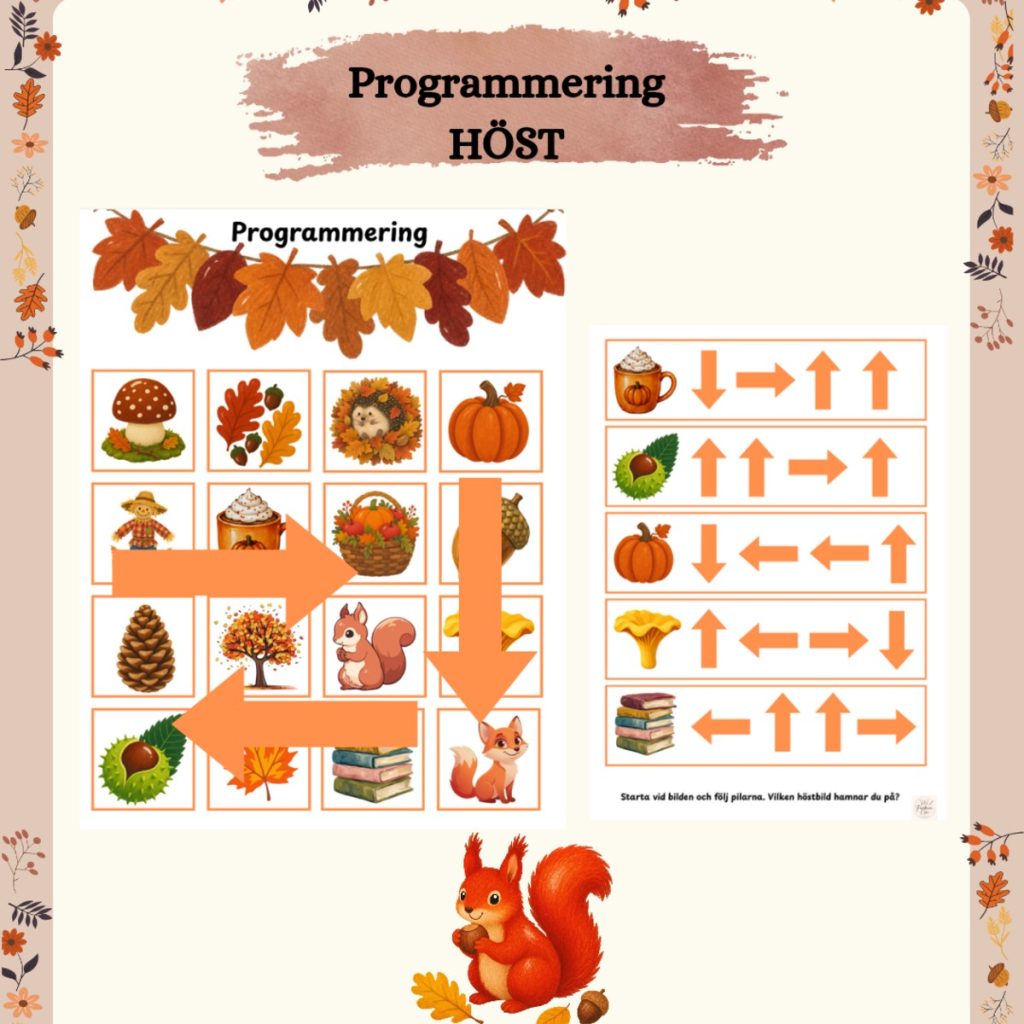 Programmering: HÖST