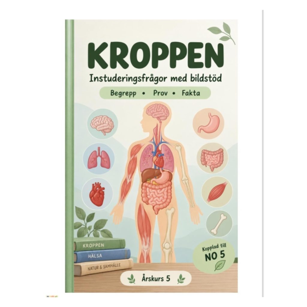 Kroppen åk 5 – instuderingsfrågor med bildstöd, begrepp, prov & facit- Koll på NO4