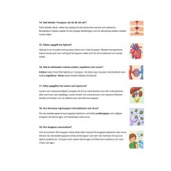 Kroppen åk 5 – instuderingsfrågor med bildstöd, begrepp, prov & facit- Koll på NO4