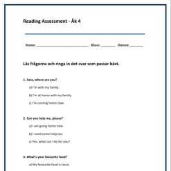 Kartläggning åk 4 Engelska - Reading Assessment Del A