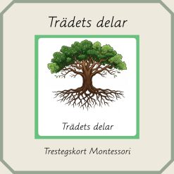 Trädets delar - Montessori trestegskort