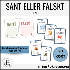 FN-dagen – Sant eller falskt | Faktakort