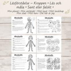 Läsförståelse – Kroppen | Läs och måla | Sant eller falskt | F-2