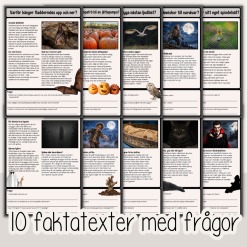 Halloween - Rolig läsförståelse - 10 knasiga och fascinerande faktatexter med frågor