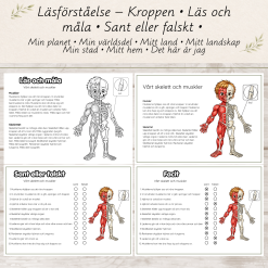 Läsförståelse – Kroppen | Läs och måla | Sant eller falskt | F-2