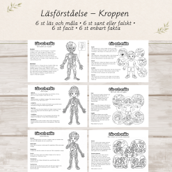 Läsförståelse – Kroppen | Läs och måla | Sant eller falskt | F-2