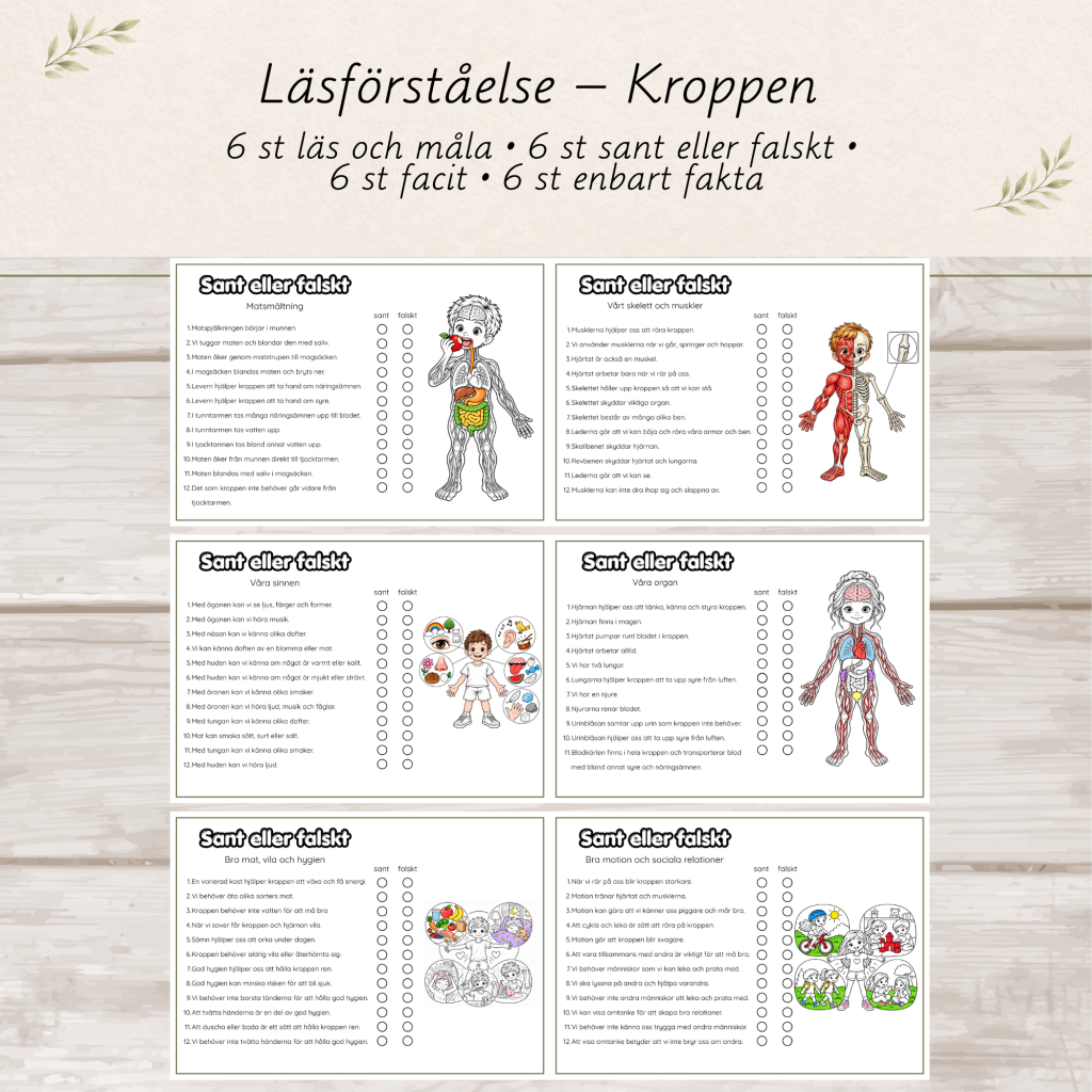 Läsförståelse – Kroppen | Läs och måla | Sant eller falskt | F-2