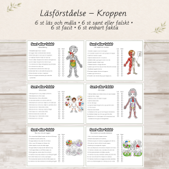 Läsförståelse – Kroppen | Läs och måla | Sant eller falskt | F-2