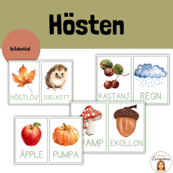 Hösthäfte