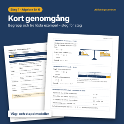 Algebra åk 6 – Uttryck och ekvationer | 30 uppgifter med facit
